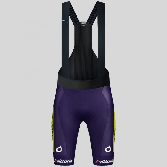 Heren Fietskleding Gobik Wilier Vittoria 2025 Absolute Print K10 Bib Tights
