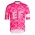 Heren Fietskleding Rapha EF Education EasyPost Pro Team Training 2025 shirt