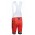 2015 Rock Racing rood Bib Fietsbroek Korte 2218