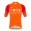 ineos grenadier Tour De France 2022 Team Wielerkleding Fietsshirt Korte Mouw Orange 202222