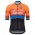 De Rosa Santini 2017 Fietskleding Wielershirt Korte Mouw 201717698